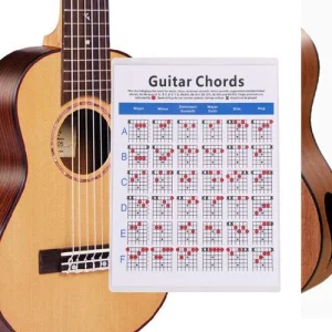 Guitar Chord Chart Poster Exercises for Beginners Digital Chords Trainer